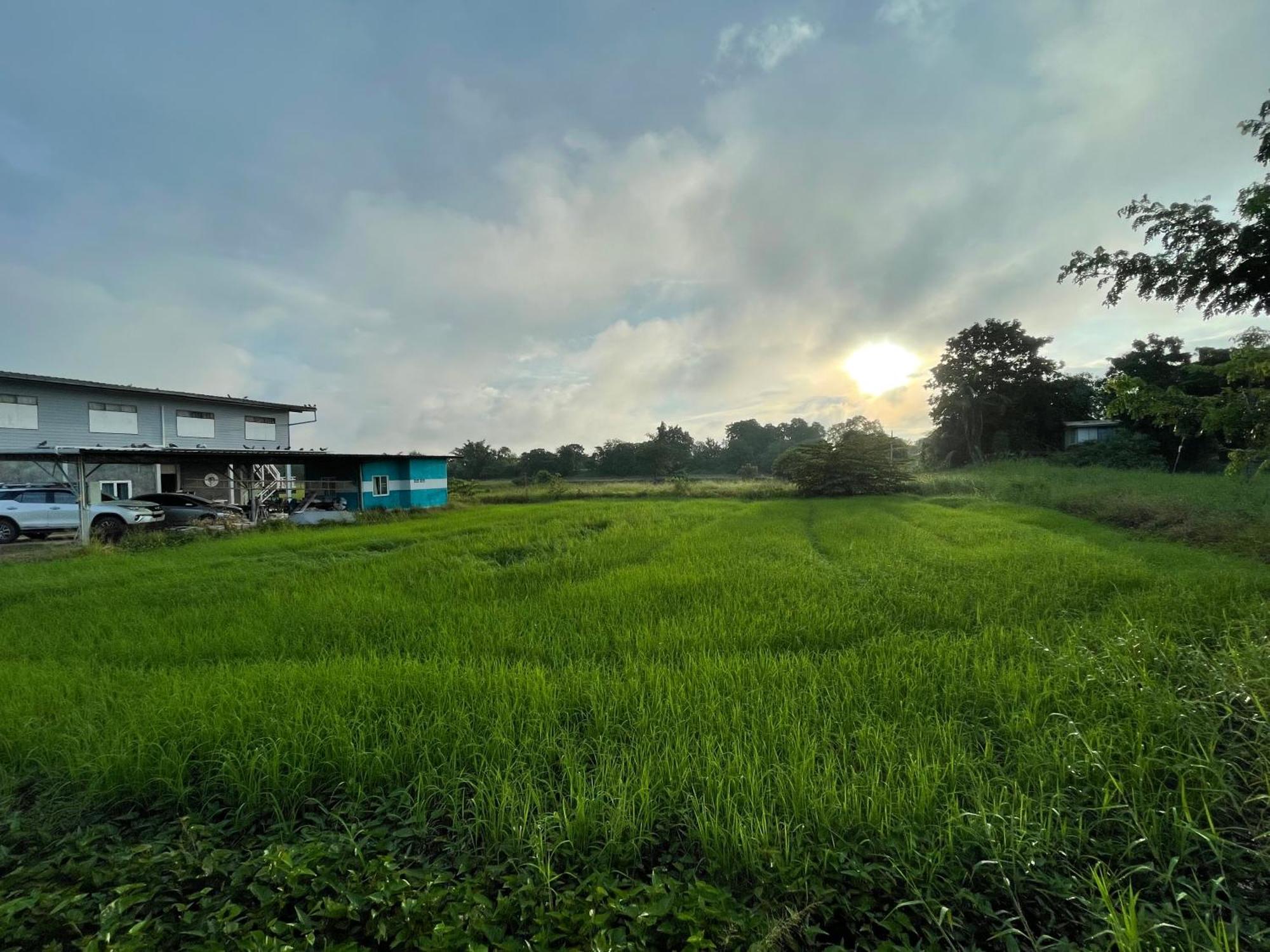 Srihome ยายศรีโฮมแอนแคมป์ปิ้ง Ban Don Tum Esterno foto